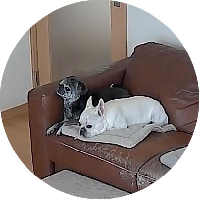 帰ってきたんちゃうか