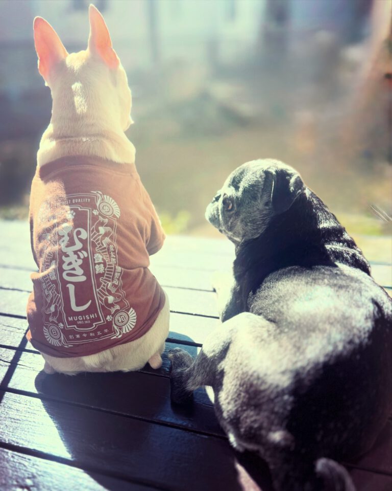 ウッドデッキにて