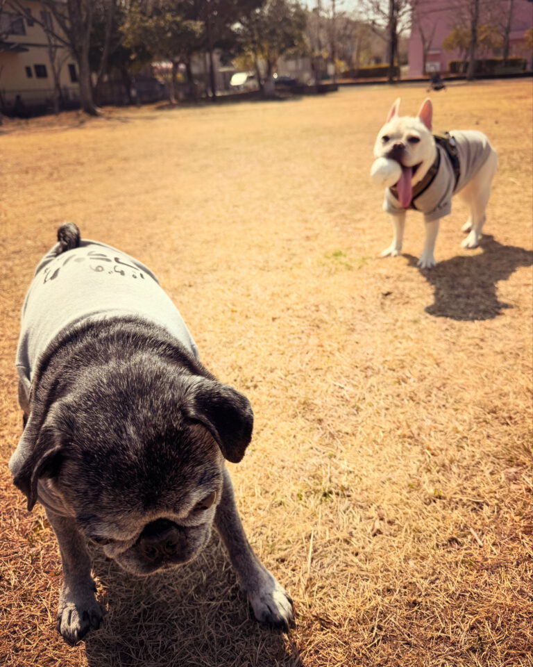 おいのび太！野球しようぜ！