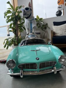 こんなこと出来るとは🤭