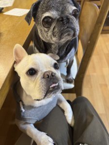 お菓子を狙う兄弟