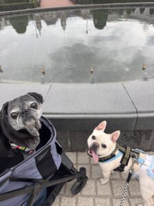 フルーツフラワーパークにて