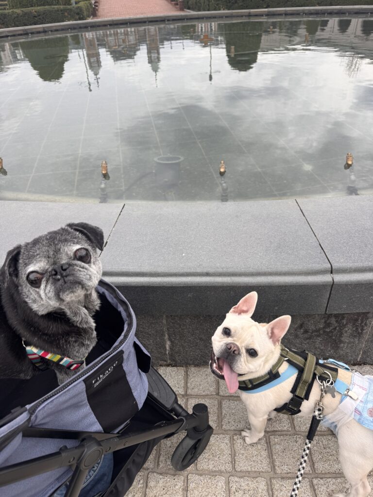 フルーツフラワーパークにて