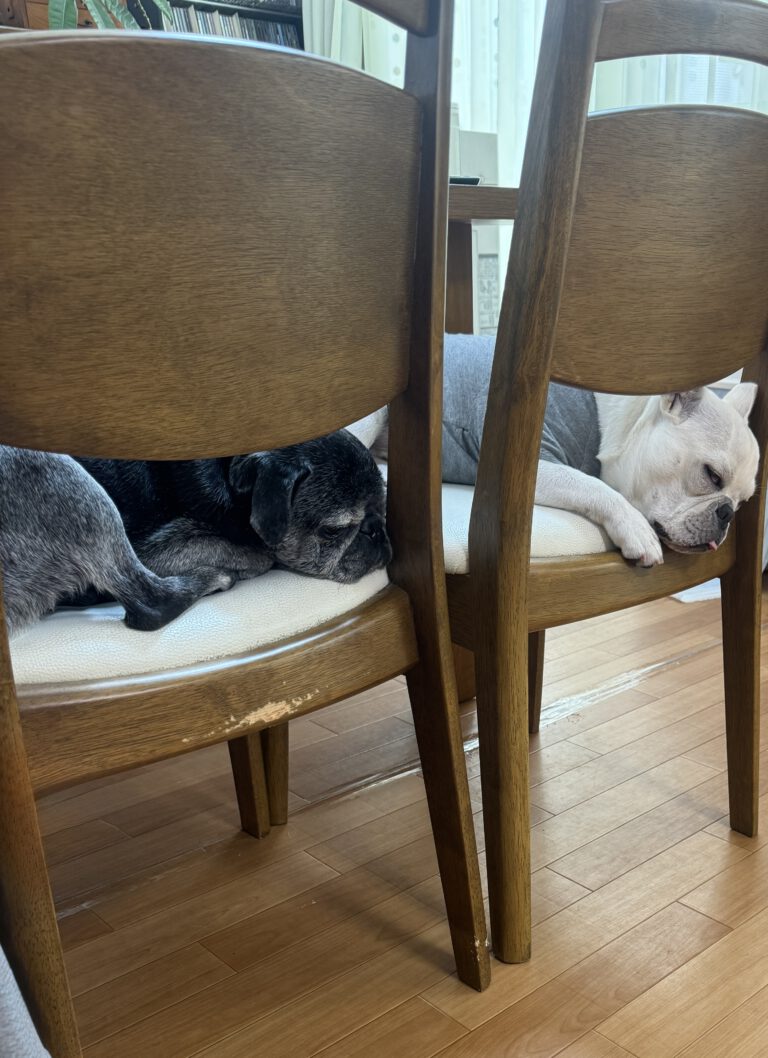 人の椅子がない笑