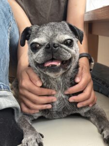 13歳の誕生日。満面の笑み！