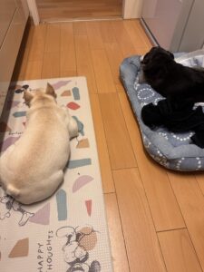 退院明けの兄貴を労る弟