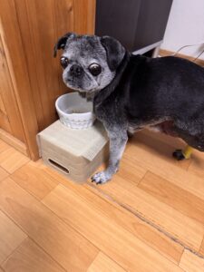 1人で立って食べれるぜ