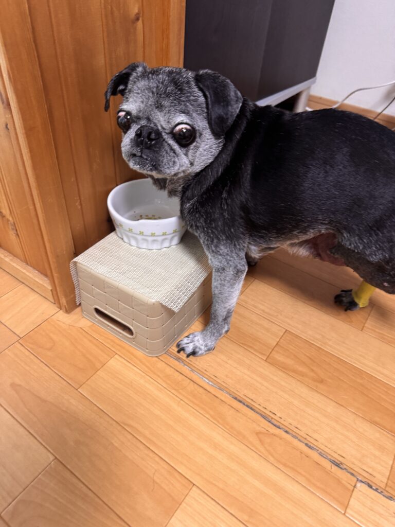 1人で立って食べれるぜ