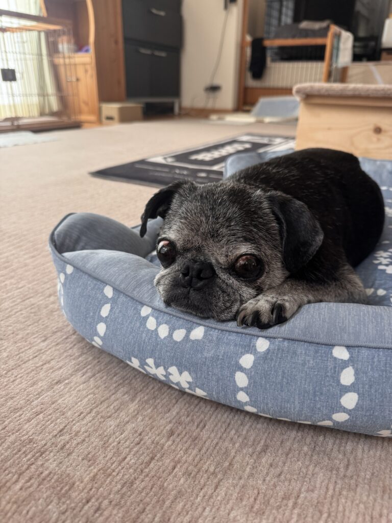 ニトリさんの企業努力やなぁ