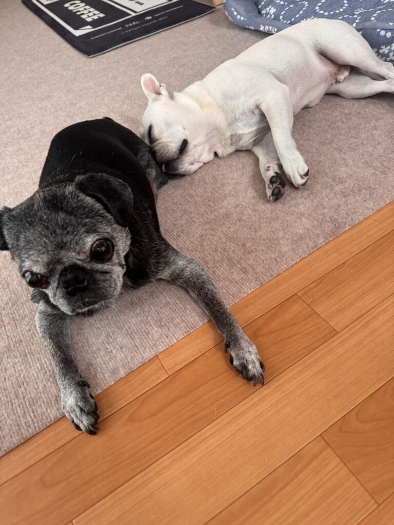 兄貴元気なってよかった!