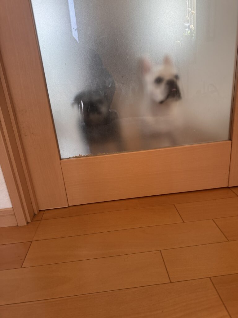 現在の画像: Img 5236