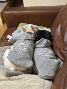 仲良し兄弟の後ろ姿