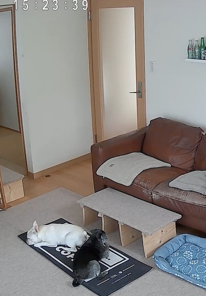 現在の画像: Kkc 0816