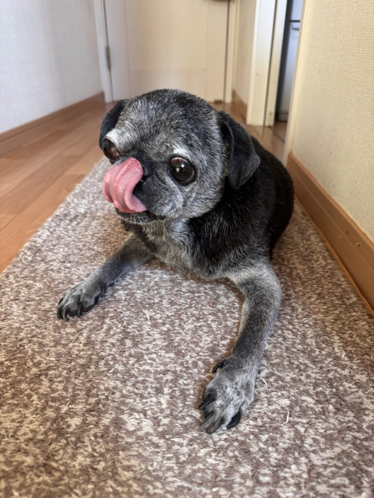 現在の画像: 初風呂202509