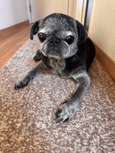 マット好きすぎて動かん😆