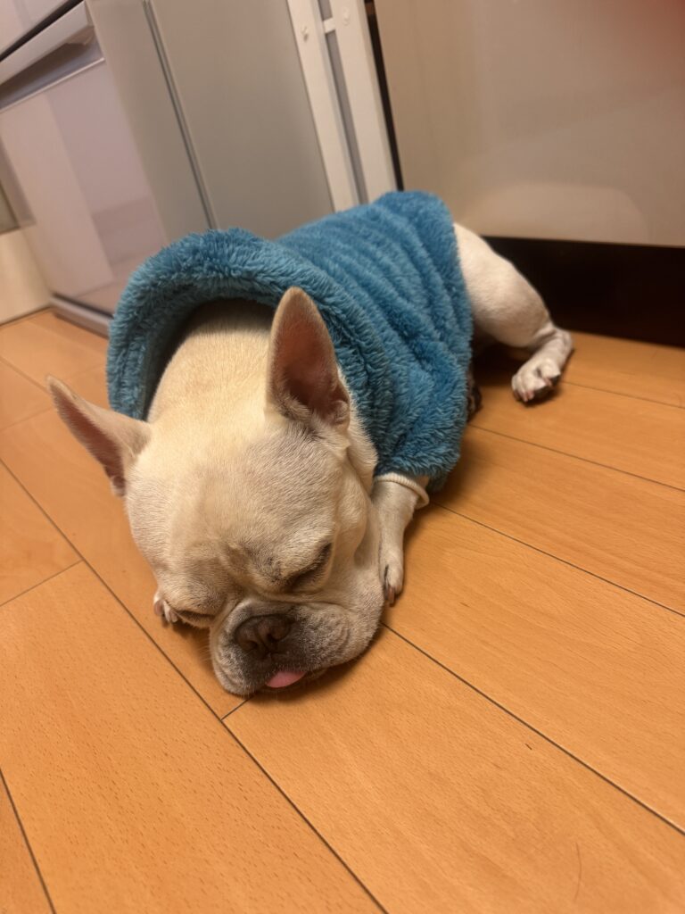 現在の画像: Img 6060