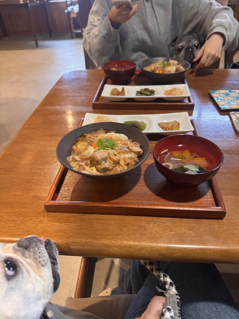 現在の画像: 篠山までランチへ