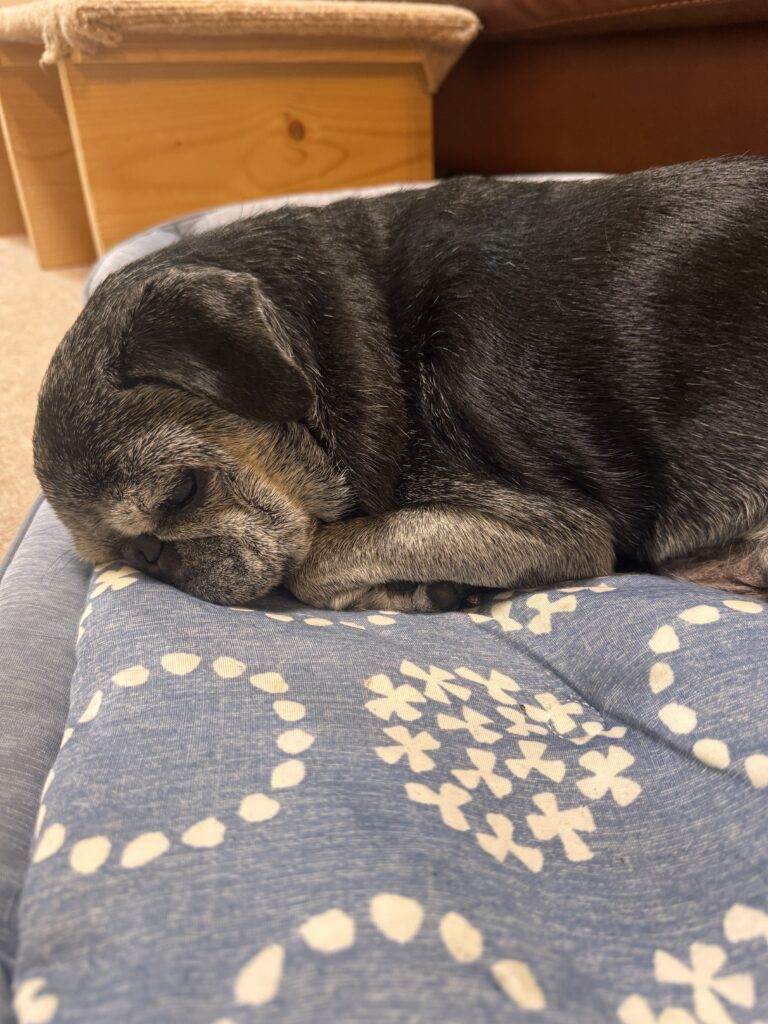 寝顔も強烈にかわいいお爺ちゃん