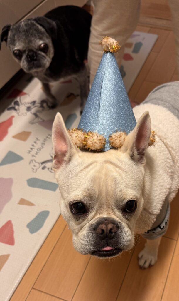 麦太郎２歳になりました