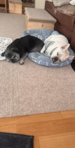 兄貴の寝場所なのに。