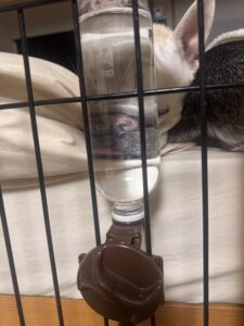 誰よりも水分に近い男、それが麦氏