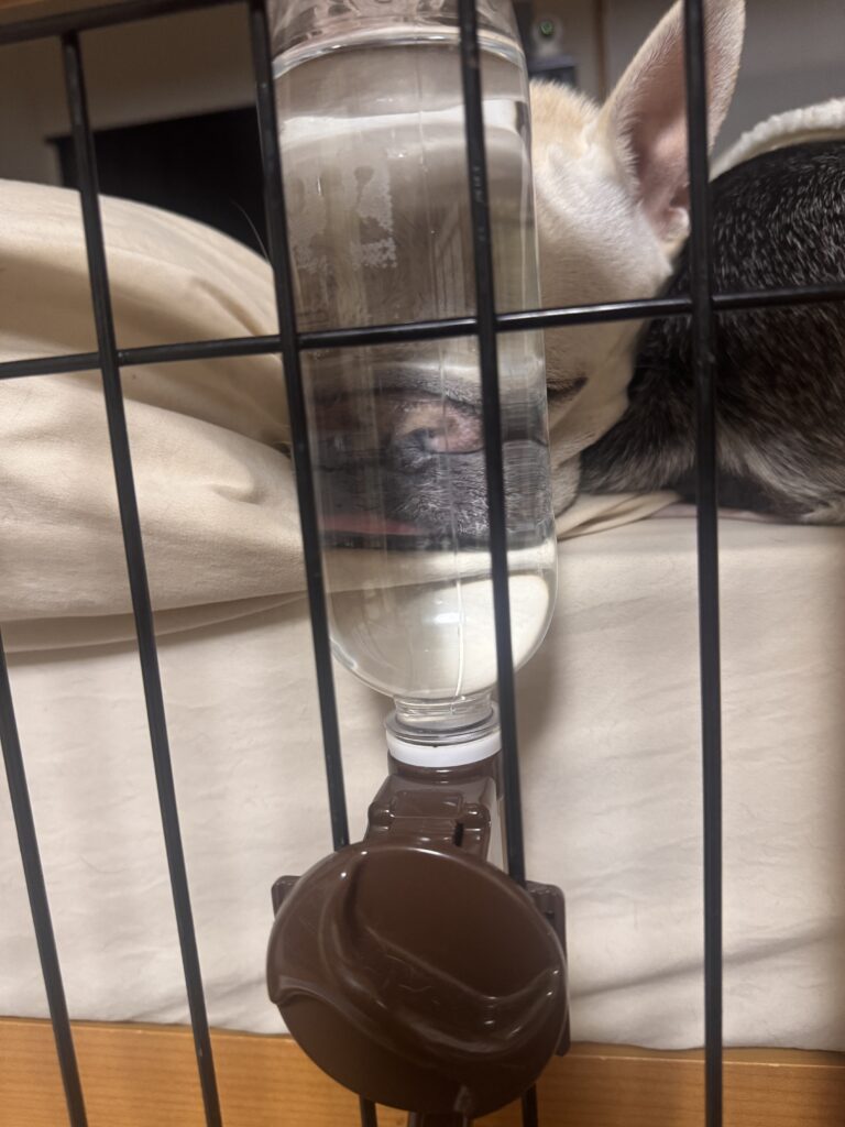 誰よりも水分に近い男、それが麦氏