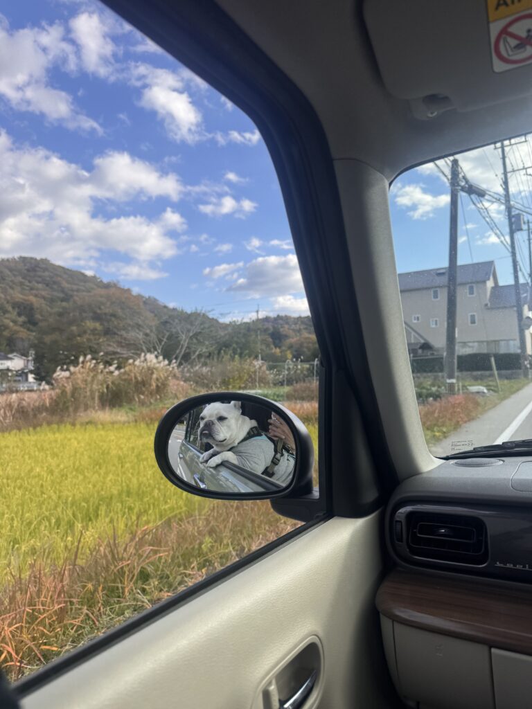 武田尾ドライブ①