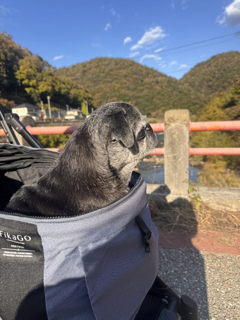 武田尾ドライブ②