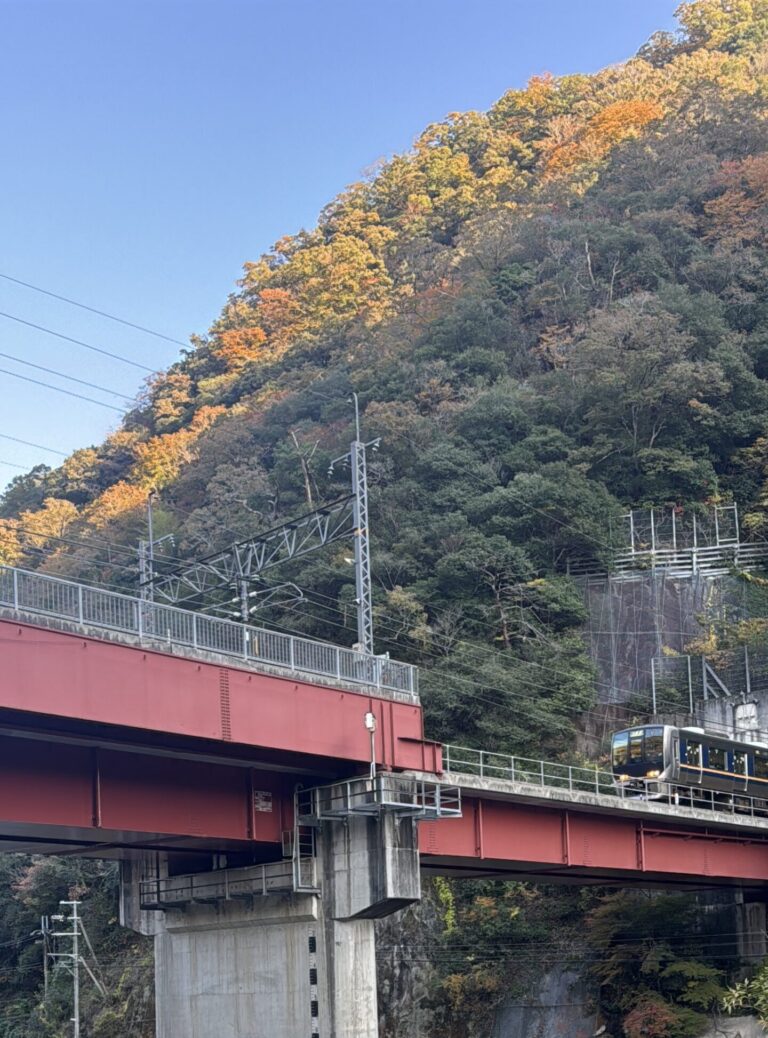 武田尾ドライブ③