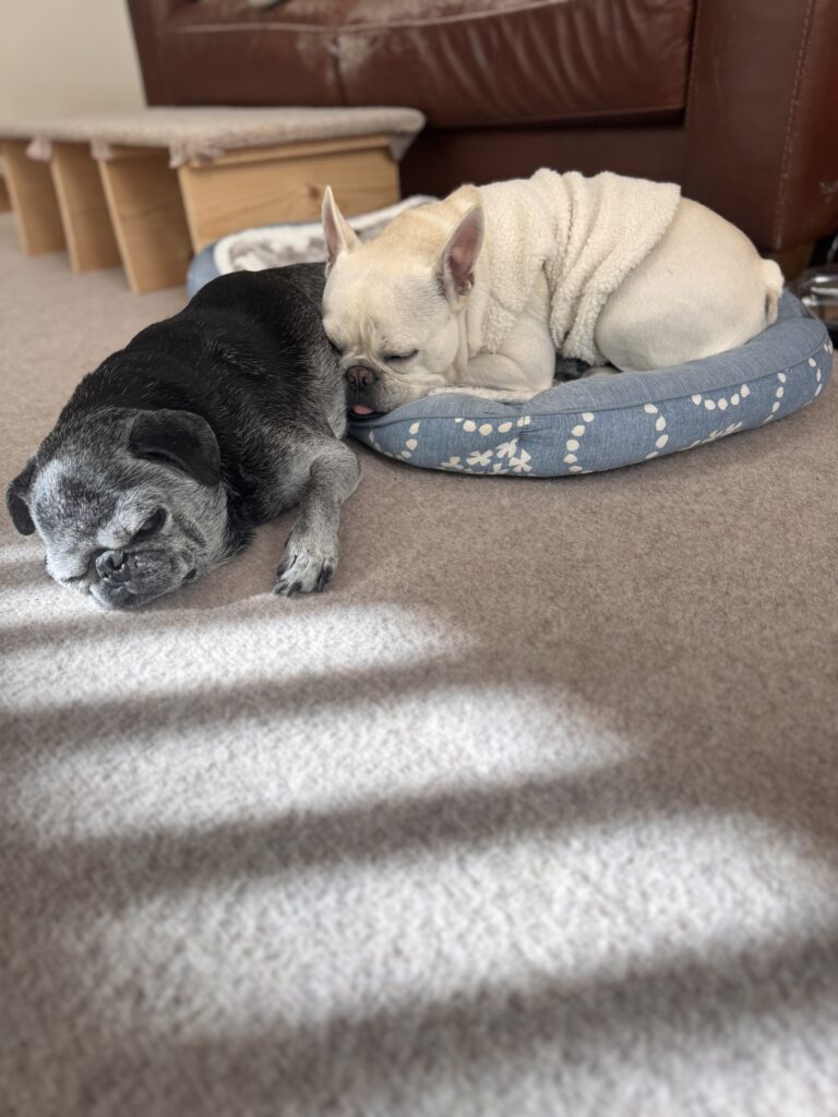 兄貴は場外へ。。。