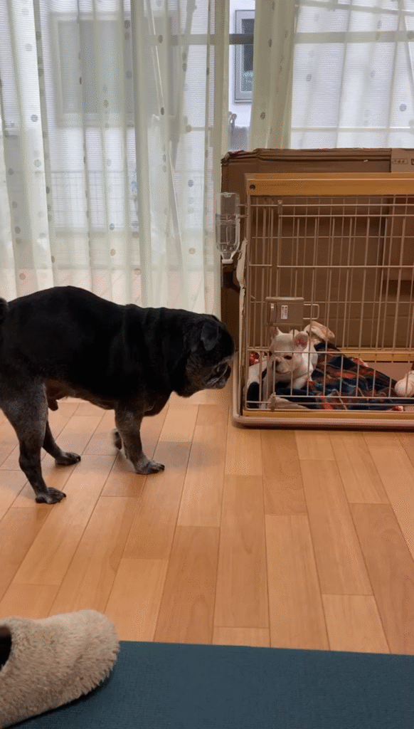 現在の画像: IMG