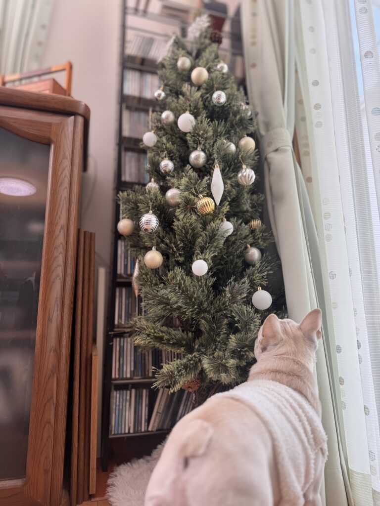 現品限りのツリー