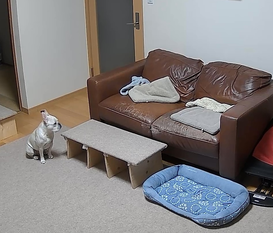 麦氏ひとり留守番