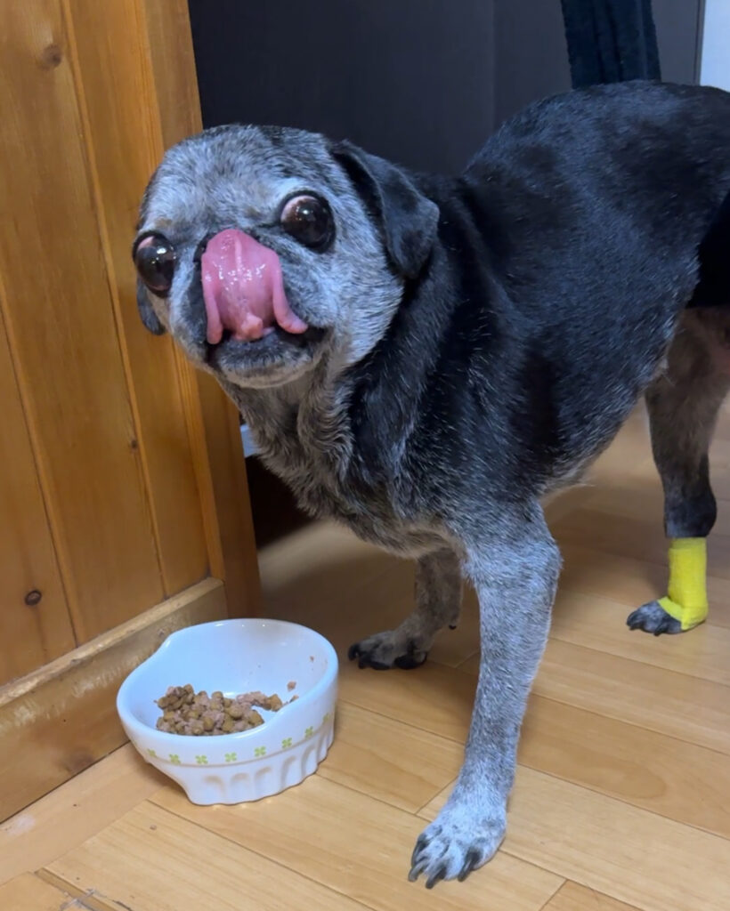 最新の写真を表示