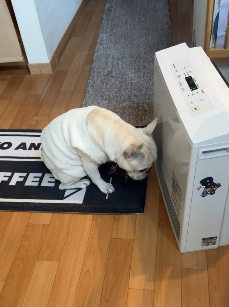 最新の写真を表示