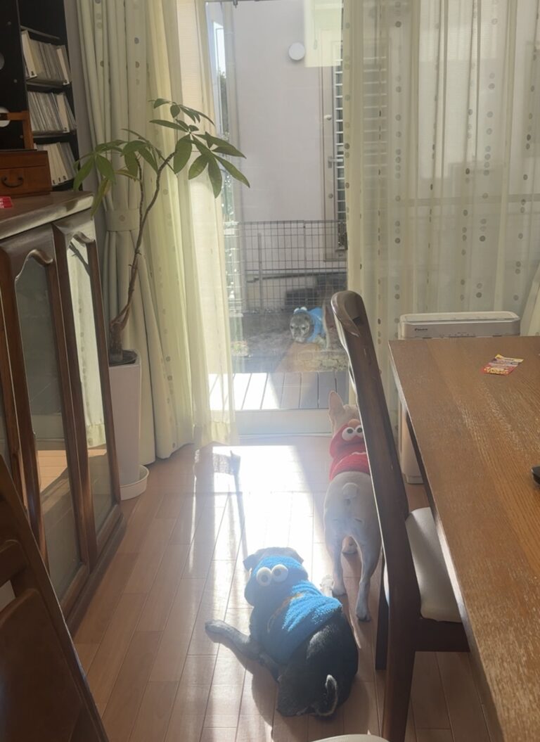 兄貴写ってるで！