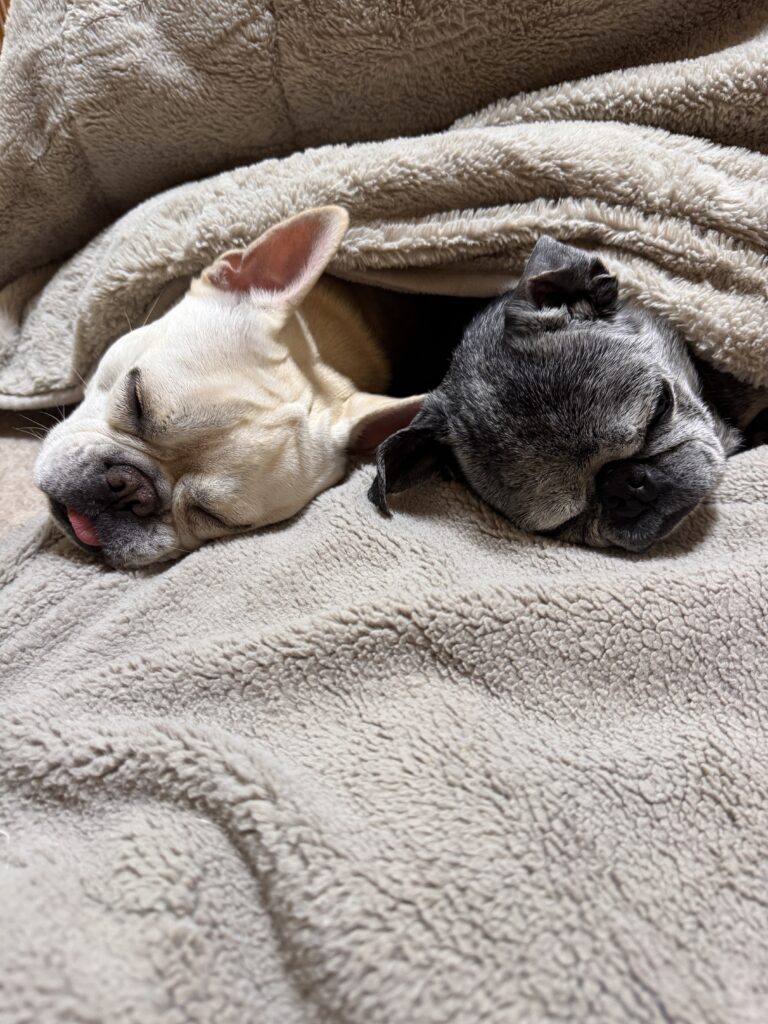 4月でもまだ寒いなぁ。。